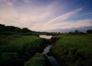雷火电竞充值-节奏大师托尼的完美演绎，爱尔兰闪电速胜奥地利