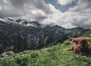 雷火电竞-惊世一笔，萨卡如何为欧联史诗补上最后一抹黄金