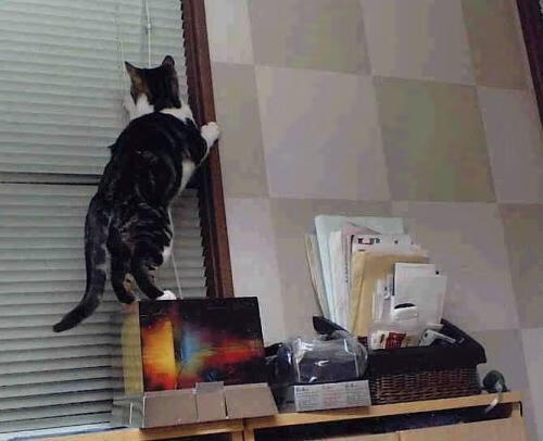 钢铁肌肉VS白山松水，字母哥制胜暴扣被吉林队的团队洪流淹没