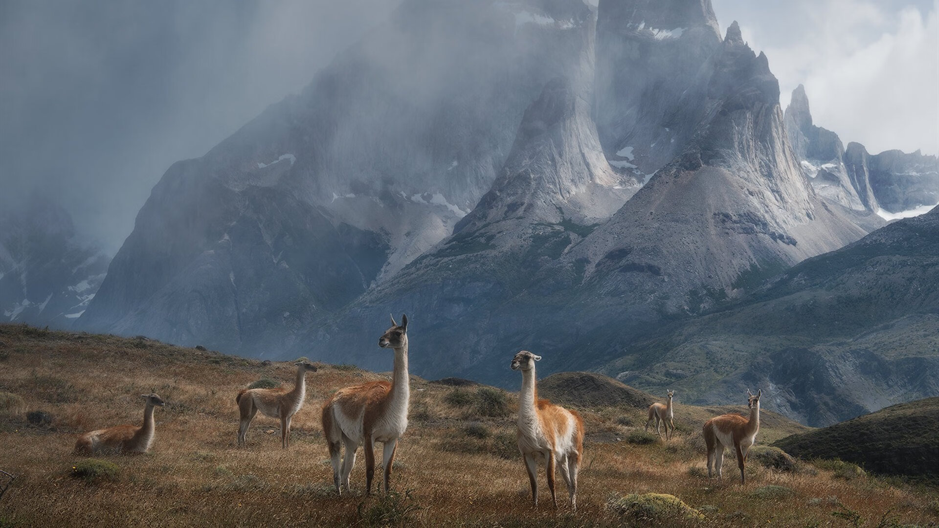 引擎轰鸣中的终点线，当森林狼在快船赛道完成史诗级弯道超车